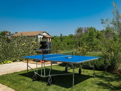 Villa Villa Leonardo - Lovely Villa Leonardo in a village near Nova Vas, Istria - Outdoor photo 4