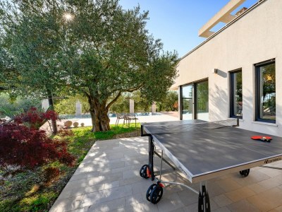 Villa Villa Pedena - Modern Villa Pedena in central Istria - Outdoor photo 4