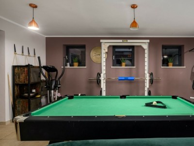 Villa Villa Pedena - Modern Villa Pedena in central Istria - Features photo 7