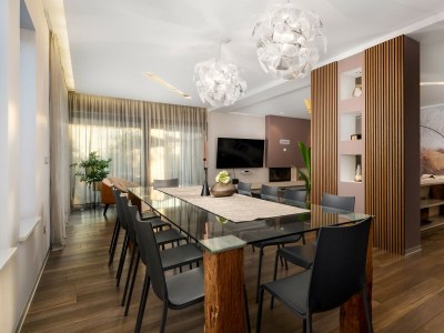 Villa Villa Pedena - Modern Villa Pedena in central Istria - Features photo 10