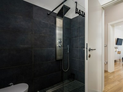 Villa Villa Pedena - Modern Villa Pedena in central Istria - Features photo 17