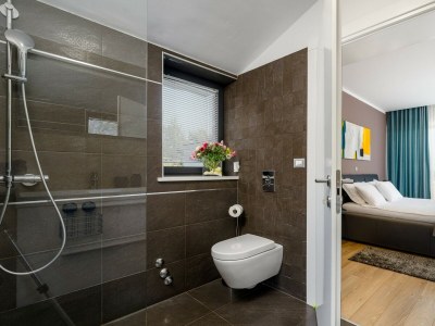 Villa Villa Pedena - Modern Villa Pedena in central Istria - Features photo 22