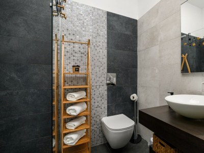 Villa Villa Pedena - Modern Villa Pedena in central Istria - Features photo 26