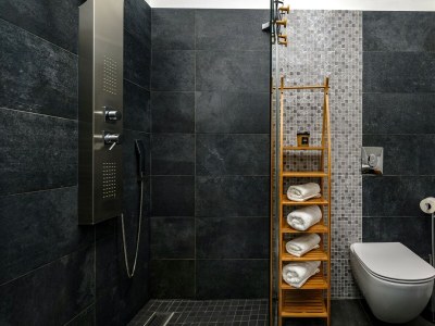 Villa Villa Pedena - Modern Villa Pedena in central Istria - Features photo 27