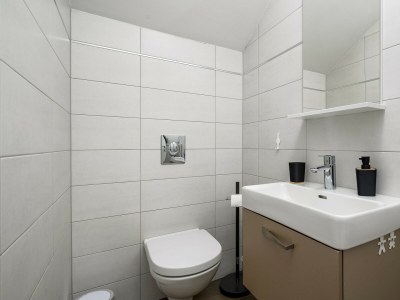 Villa Villa Pedena - Modern Villa Pedena in central Istria - Features photo 29