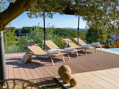 Villa Villa Pedena - Modern Villa Pedena in central Istria - Environment photo 34