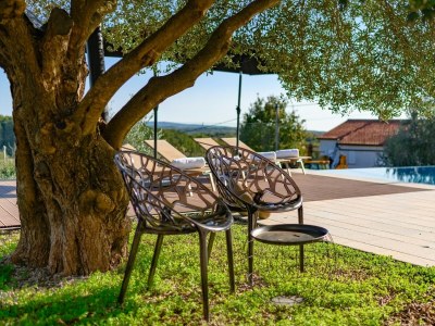 Villa Villa Pedena - Modern Villa Pedena in central Istria - Environment photo 36