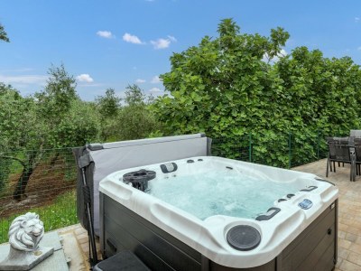 Villa Villa Buroli - Charming Villa Buroli in the north of Istria - Environment photo 27