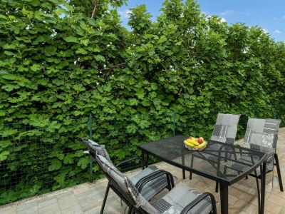 Villa Villa Buroli - Charming Villa Buroli in the north of Istria - Environment photo 35