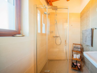 Villa Villa Antea - Elegant Villa Antea in Barban, eastern Istria - Features photo 14