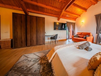 Villa Villa Antea - Elegant Villa Antea in Barban, eastern Istria - Features photo 19