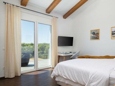 Villa Villa Dolce Bacio - Modern Villa Dolce Bacio in Kavran, Istria - Features photo 14