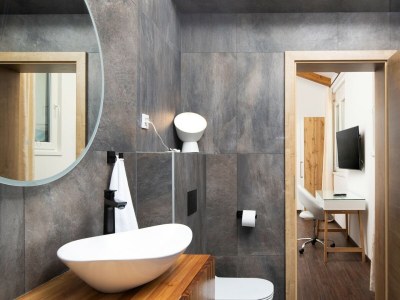 Villa Villa Dolce Bacio - Modern Villa Dolce Bacio in Kavran, Istria - Features photo 21