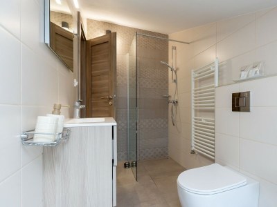 Villa Villa Filton - Modern Villa Filton in Vižinada, central Istria - Features photo 19