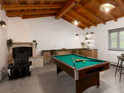 Villa Villa Filton - Modern Villa Filton in Vižinada, central Istria - Features photo 29