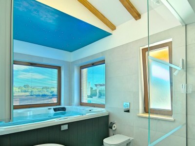 Villa Villa Gloria Vita - Modern Villa Gloria Vita in Nova Vas, near Novigrad - Features photo 28