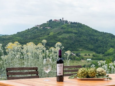 Villa Villa Majestic Eye - Charming Villa Majestic Eye with a view of Motovun - Environment photo 23
