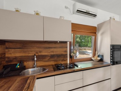 Villa Villa Zivolic - Beautiful Villa Zivolic near Svetvinčent, central Istria - Features photo 7