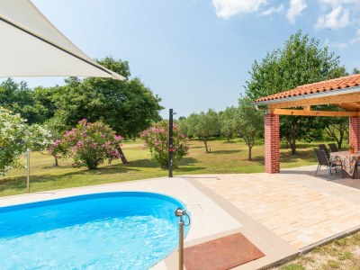 Villa Villa Zivolic - Beautiful Villa Zivolic near Svetvinčent, central Istria - Environment photo 27