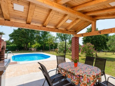 Villa Villa Zivolic - Beautiful Villa Zivolic near Svetvinčent, central Istria - Environment photo 30