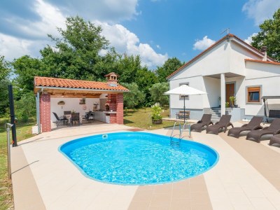 Villa Villa Zivolic - Beautiful Villa Zivolic near Svetvinčent, central Istria - Environment photo 36