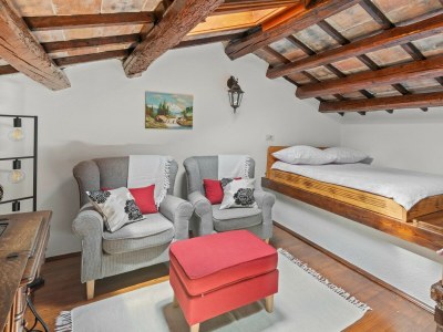 Villa Casa Corona - Rustic Casa Corona near Labin, Istria - Features photo 16