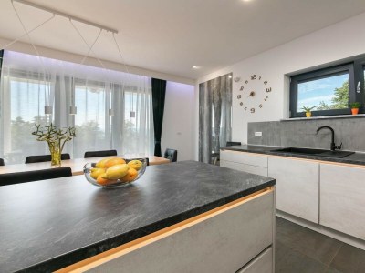 Villa Villa Althea - Modern Villa Althea in eastern Istria - Features photo 7