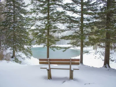 Apartment Superior Ferienwohnung mit IR-Sauna (ohne Kaution) - Environment photo 26