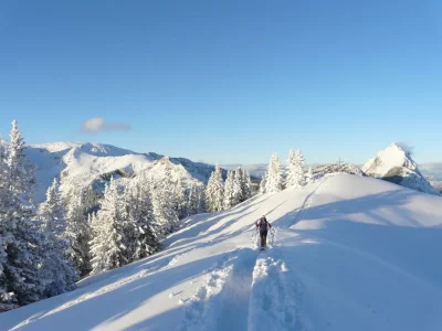 Apartment Superior Ferienwohnung mit IR-Sauna (ohne Kaution) - Environment photo 27