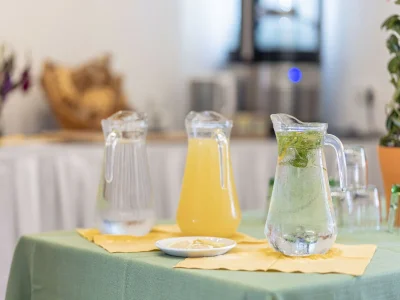 Apartment Superior Ferienwohnung mit IR-Sauna (ohne Kaution) - Outdoor photo 35