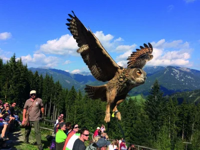 Apartment Superior Ferienwohnung mit IR-Sauna (ohne Kaution) - Outdoor photo 37