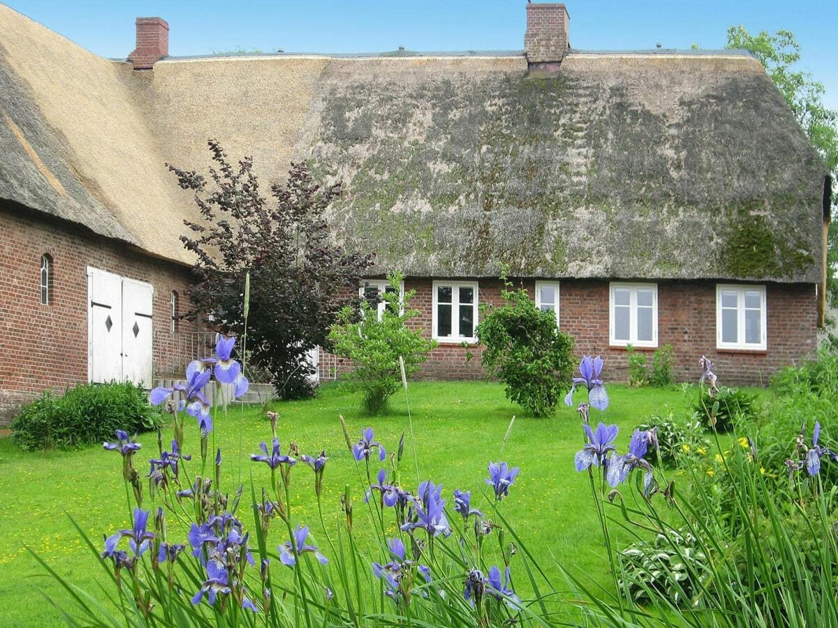 Holiday house Wellnessferienhaus in Dagebüll auf einer Warft - Outdoor photo 2