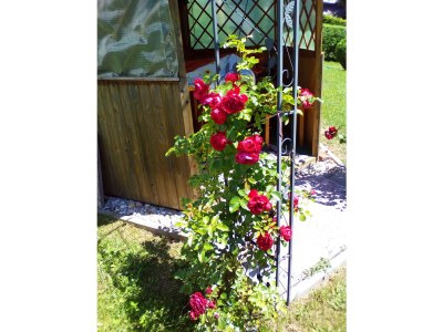 Holiday house Holiday Home Faber - Environment photo 14