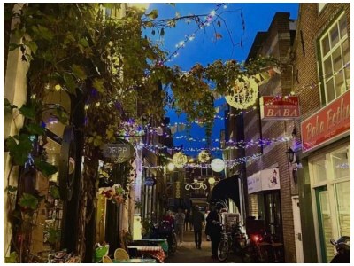 B&B Verdronkenoord - Environment photo 11