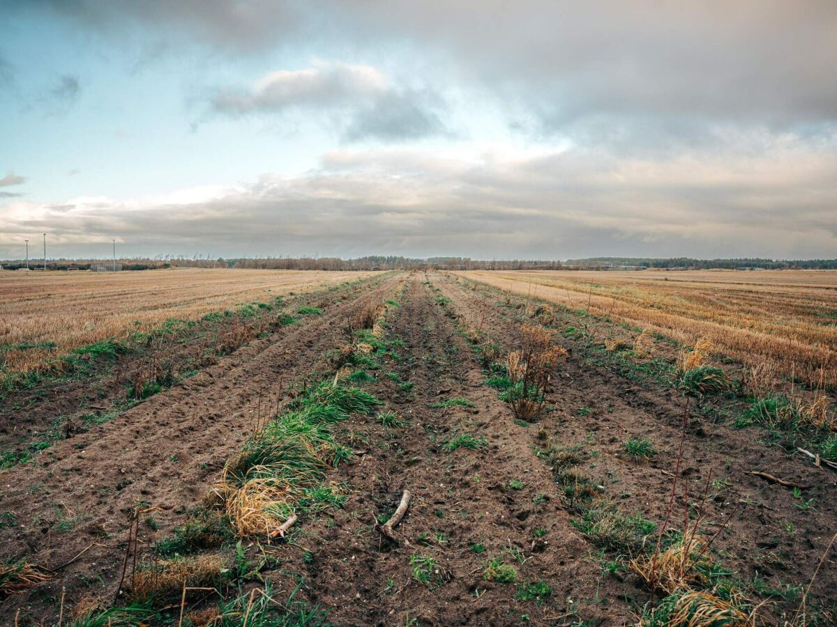 Holiday house 4 Sterne Ferienhaus in Brønderslev - Outdoor photo 4