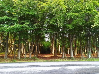 Holiday house 4 Sterne Ferienhaus in Brønderslev - Outdoor photo 16
