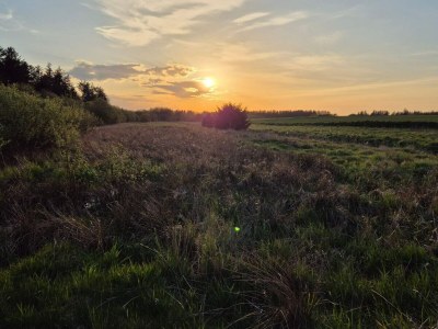 Holiday house 4 Sterne Ferienhaus in Brønderslev - Outdoor photo 17