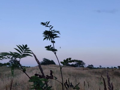 Holiday house 4 Sterne Ferienhaus in Brønderslev - Outdoor photo 18