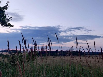 Holiday house 4 Sterne Ferienhaus in Brønderslev - Outdoor photo 19
