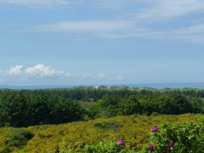 Holiday house 4 Sterne Ferienhaus in Brønderslev - Outdoor photo 21