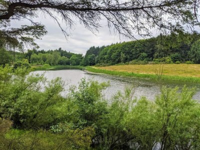Holiday house 4 Sterne Ferienhaus in Brønderslev - Outdoor photo 24