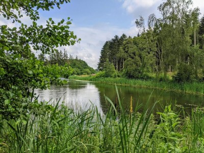Holiday house 4 Sterne Ferienhaus in Brønderslev - Outdoor photo 25