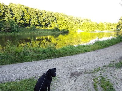 Holiday house 4 Sterne Ferienhaus in Brønderslev - Outdoor photo 26