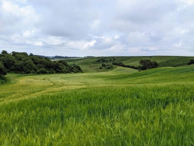 Holiday house 4 Sterne Ferienhaus in Brønderslev - Outdoor photo 36