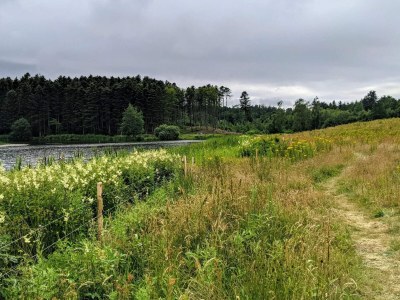 Holiday house 4 Sterne Ferienhaus in Brønderslev - Outdoor photo 37