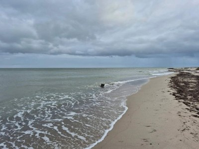 Holiday house 4 star holiday home in Væggerløse - Outdoor photo 28