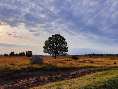 Holiday apartment Cordes - Environment photo 28