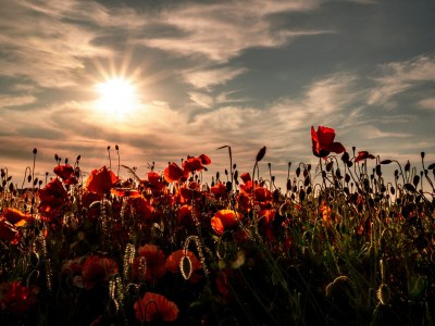 Holiday apartment Cordes - Environment photo 30