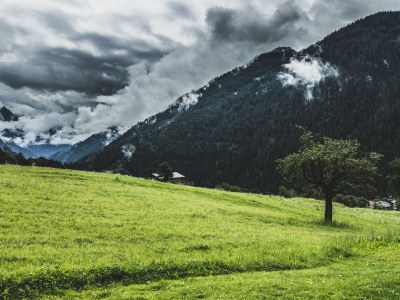 Apartment Apartment Freiraum mit Terrasse und Sauna - Outdoor photo 35
