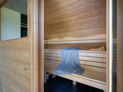Apartment Apartment Freiraum mit Terrasse und Sauna - Features photo 46